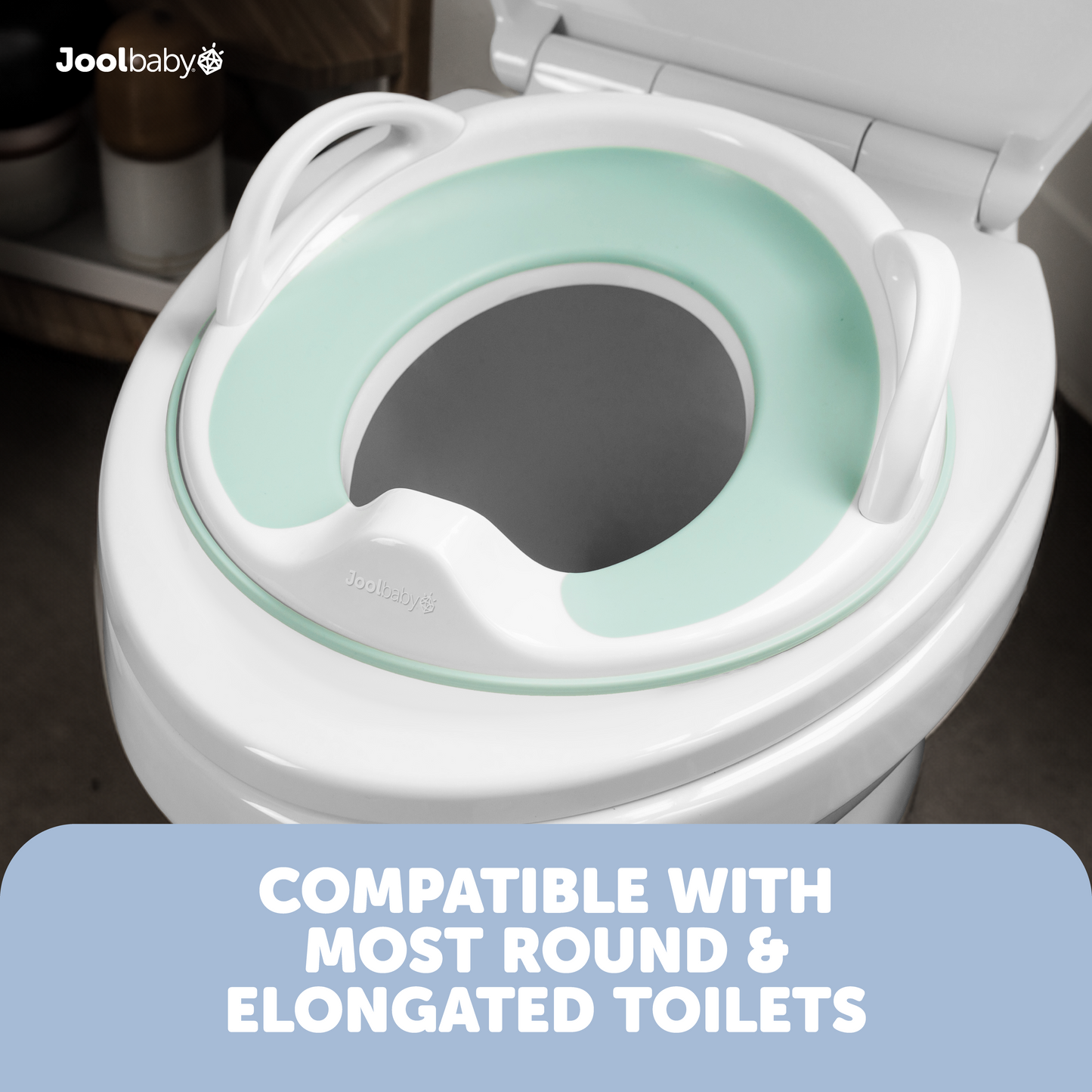 Potty Training Seat with Handles