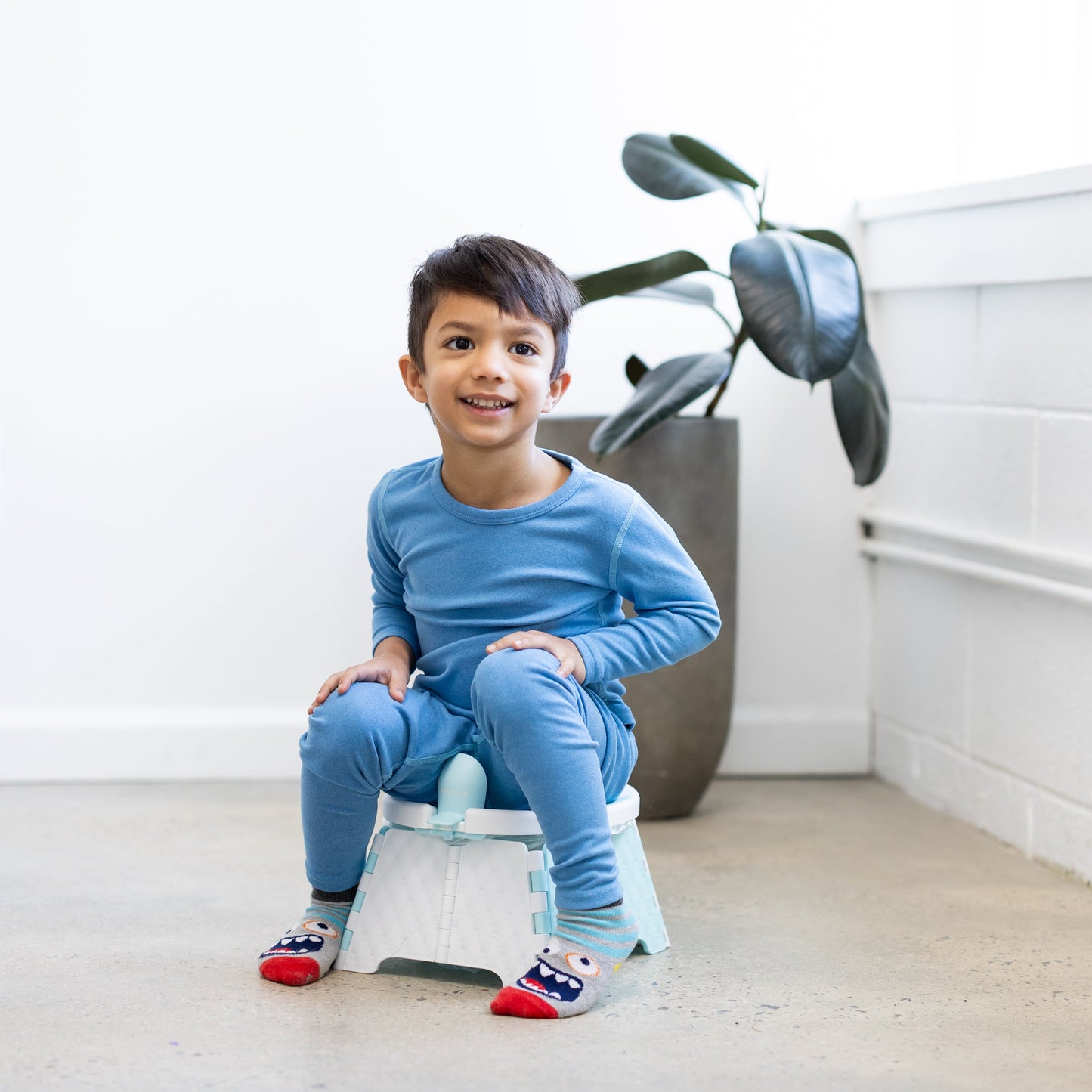 The Adaptive Toolkit for Potty Training Children with Disabilities - Book