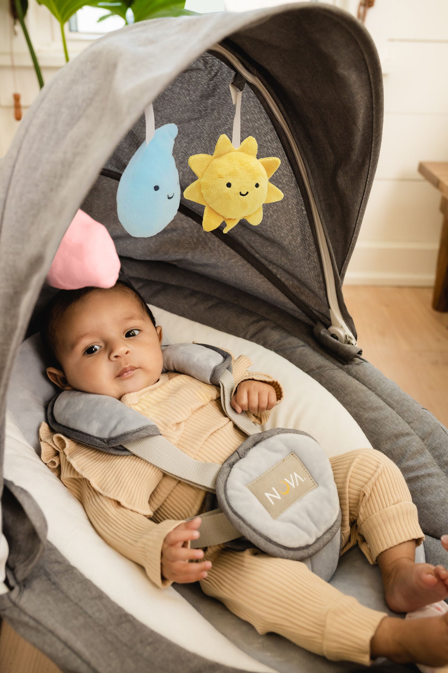 Replacement Toys for the Nova Baby Swing