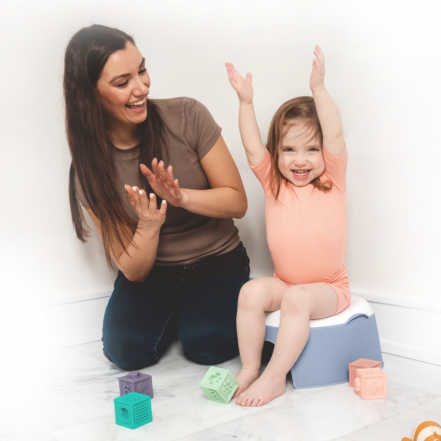 2 in 1 Potty
