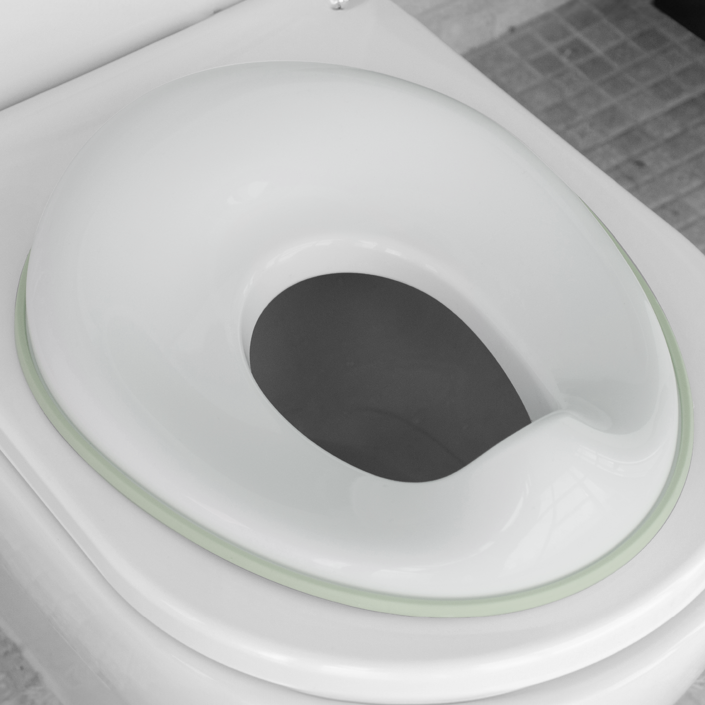 Potty Training Seat