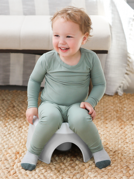 2 in 1 Potty