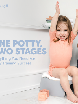 2 in 1 Potty