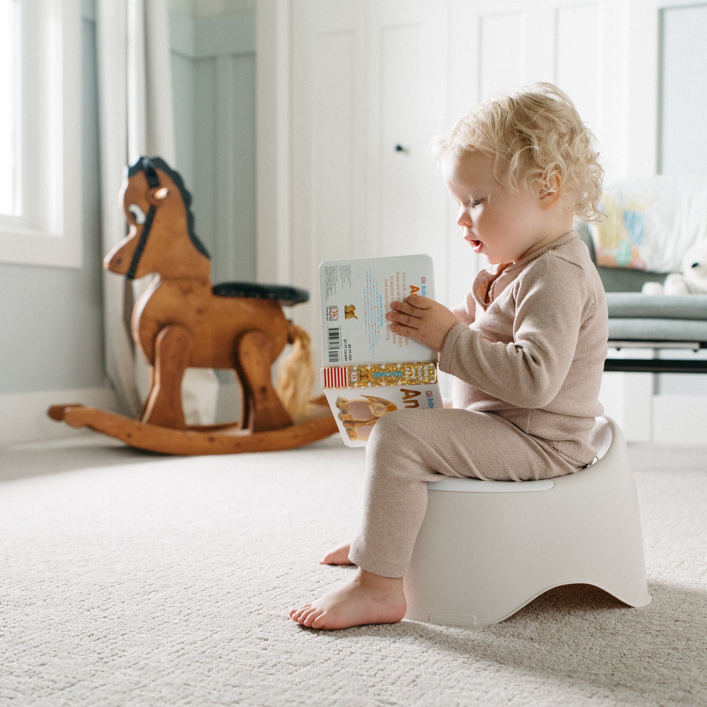 Essential Potty Training Chair