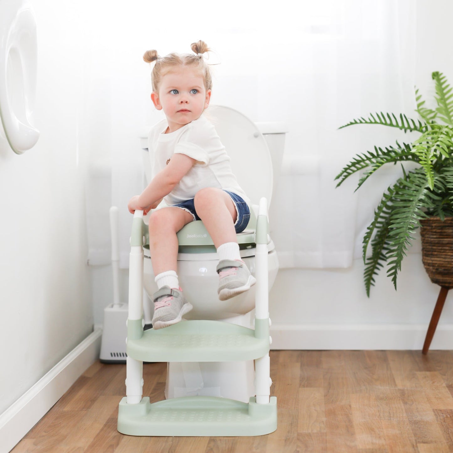 Potty Training Seat with 2 Step Ladder