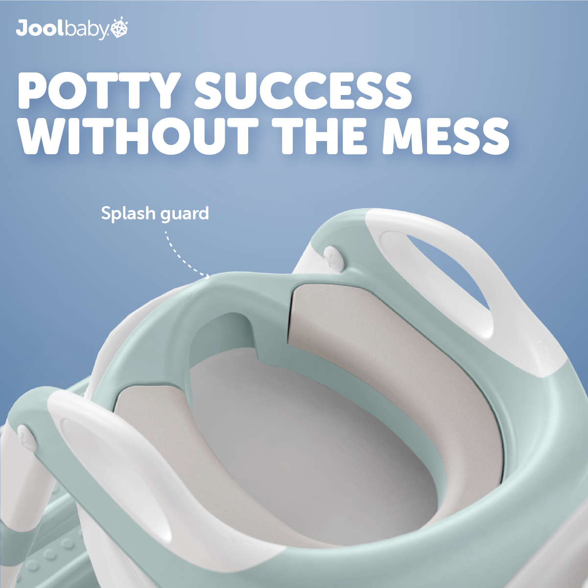 Potty Training Seat with 2 Step Ladder