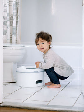 Milestone 4-in-1 Potty Training System