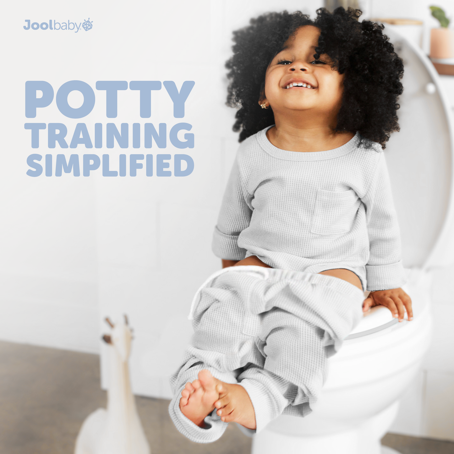 Potty Training Seat