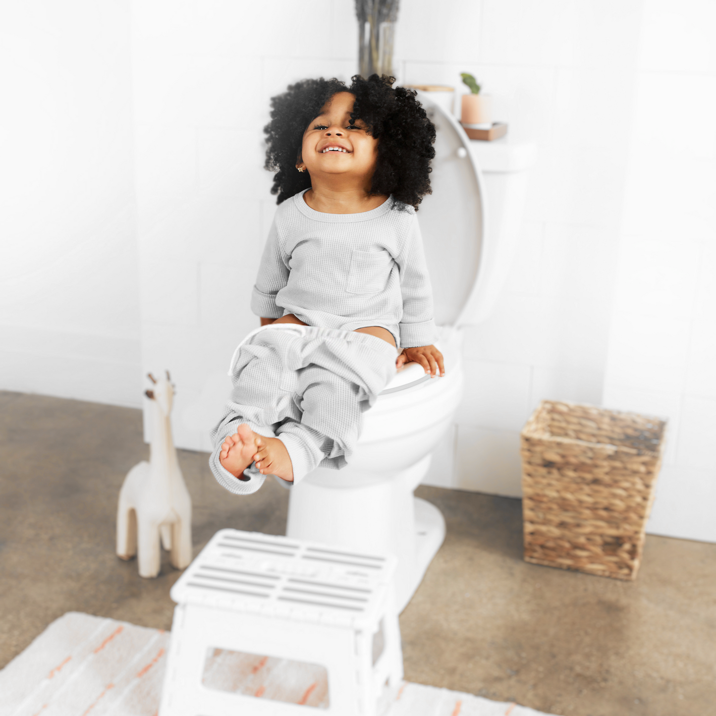 Potty Training Seat
