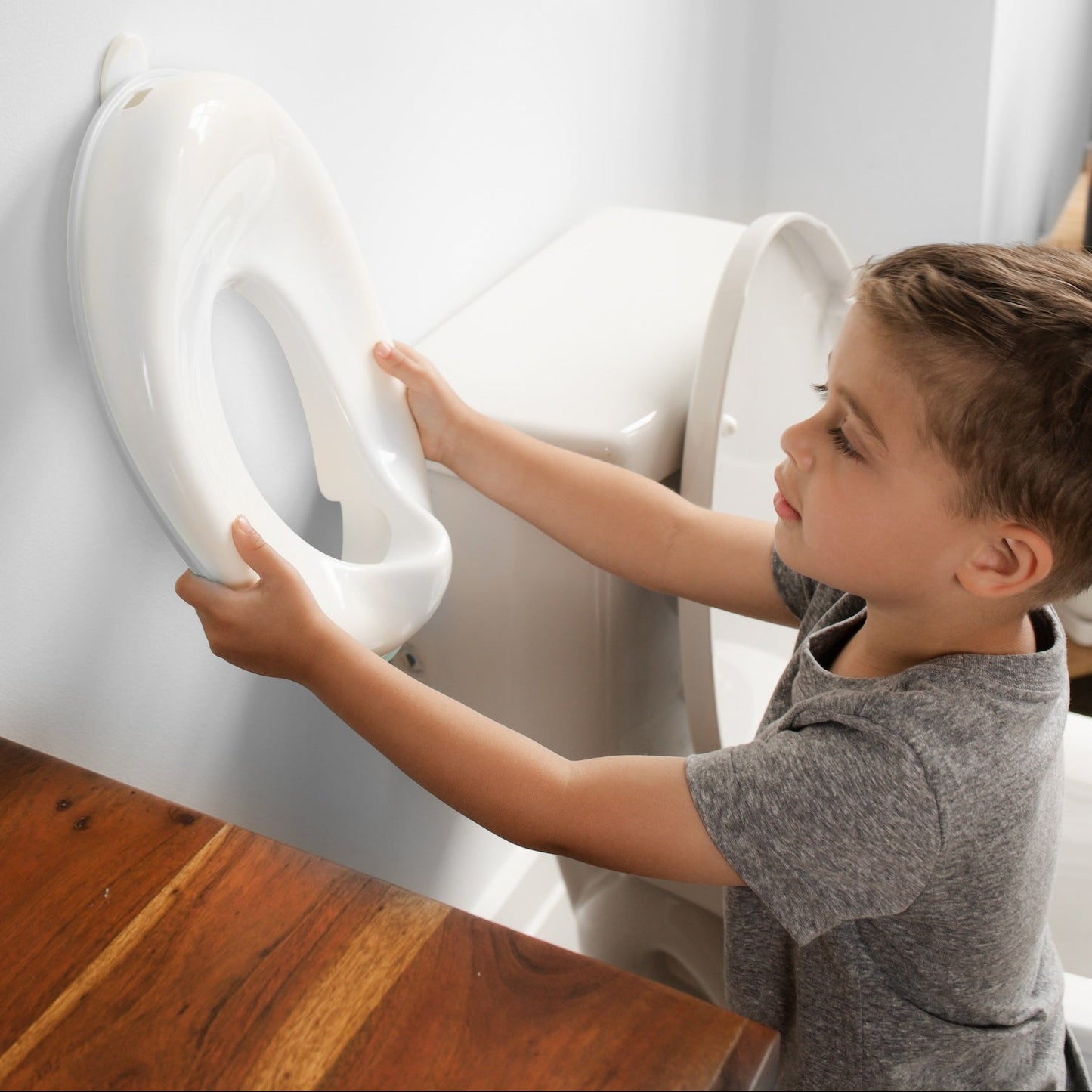 Potty Training Seat