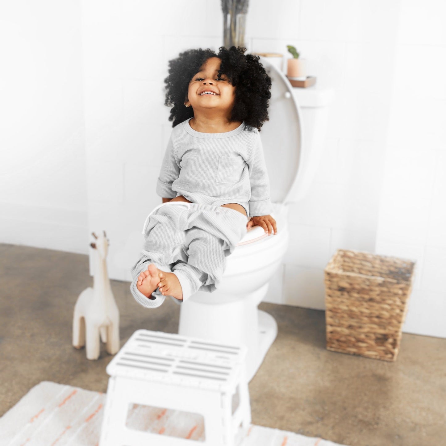 Potty Training Seat