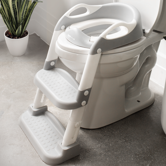 Potty Training Seat with 2 Step Ladder