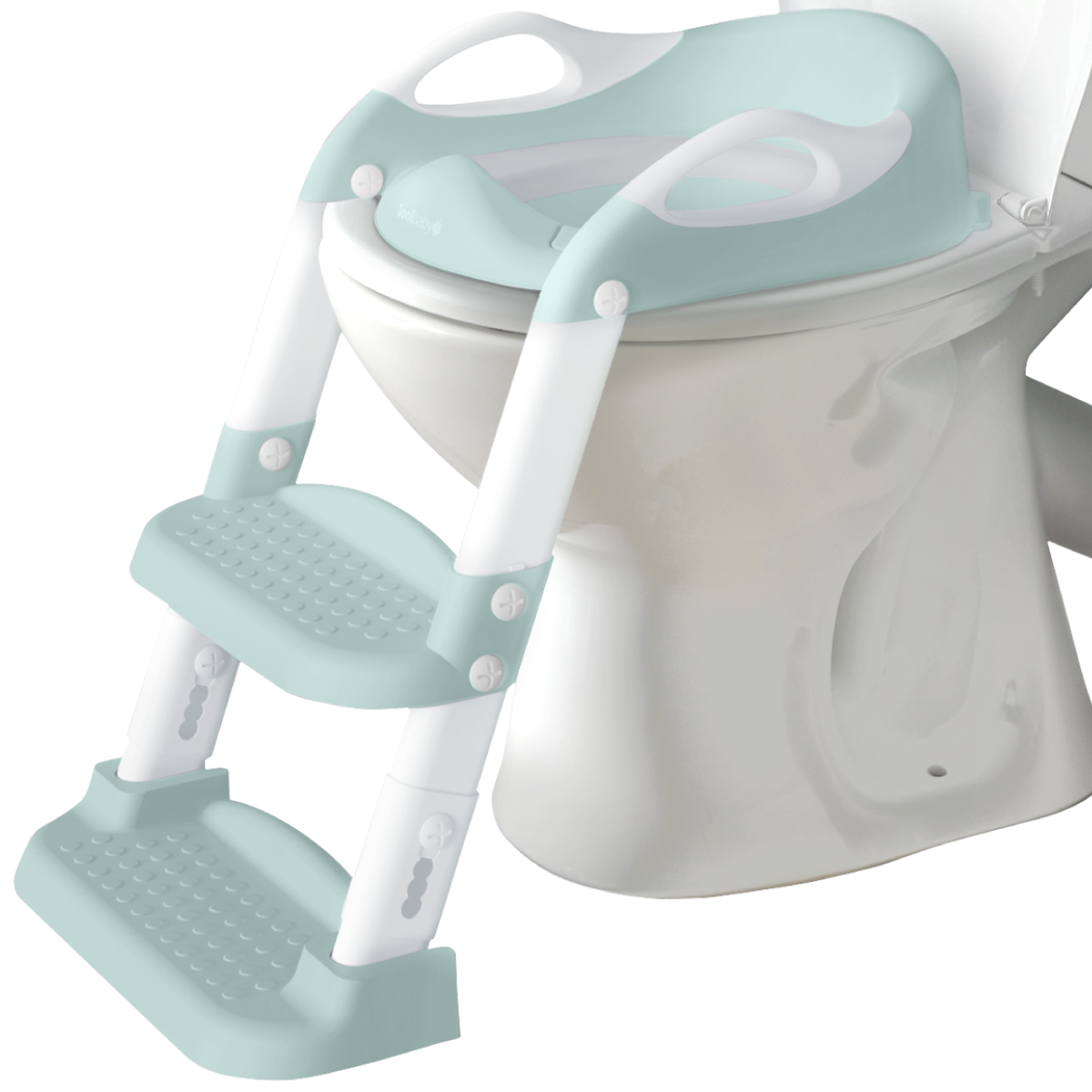 Potty Training Seat with 2 Step Ladder