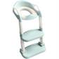 Potty Training Seat with 2 Step Ladder