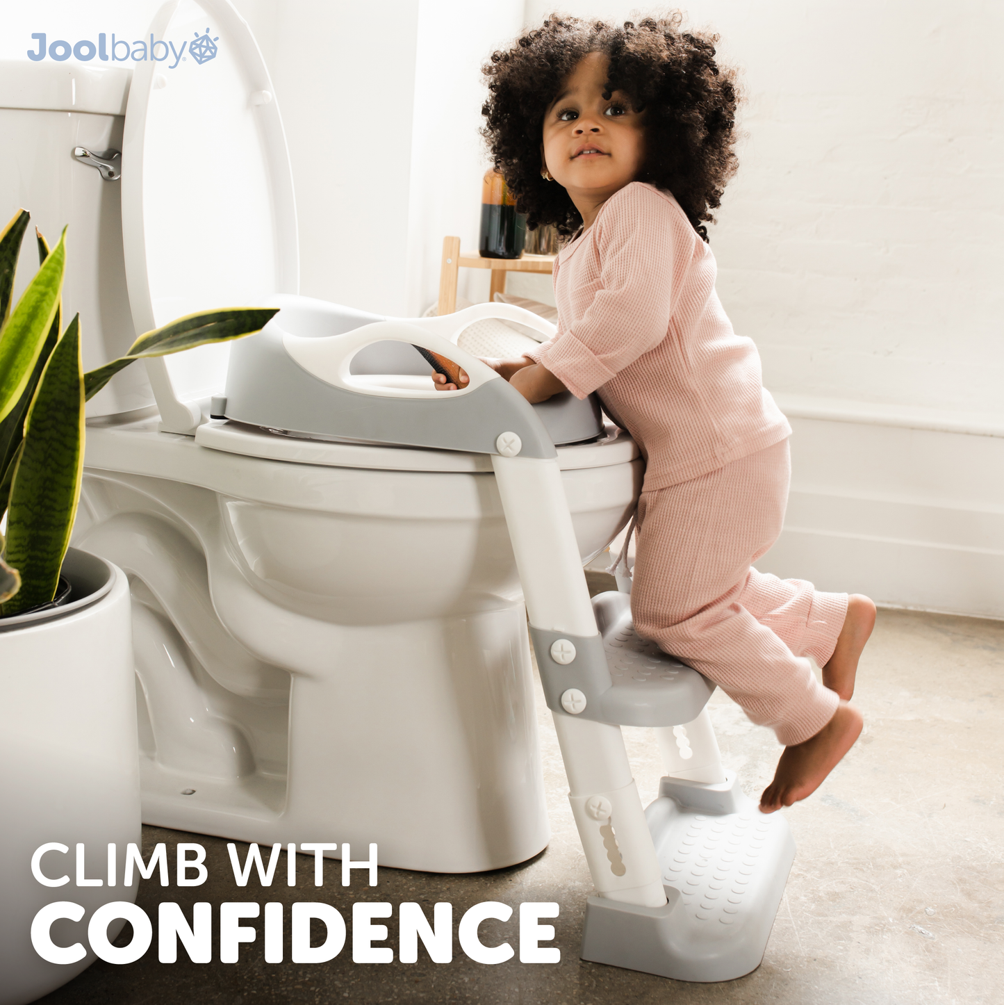 Potty Training Seat with 2 Step Ladder