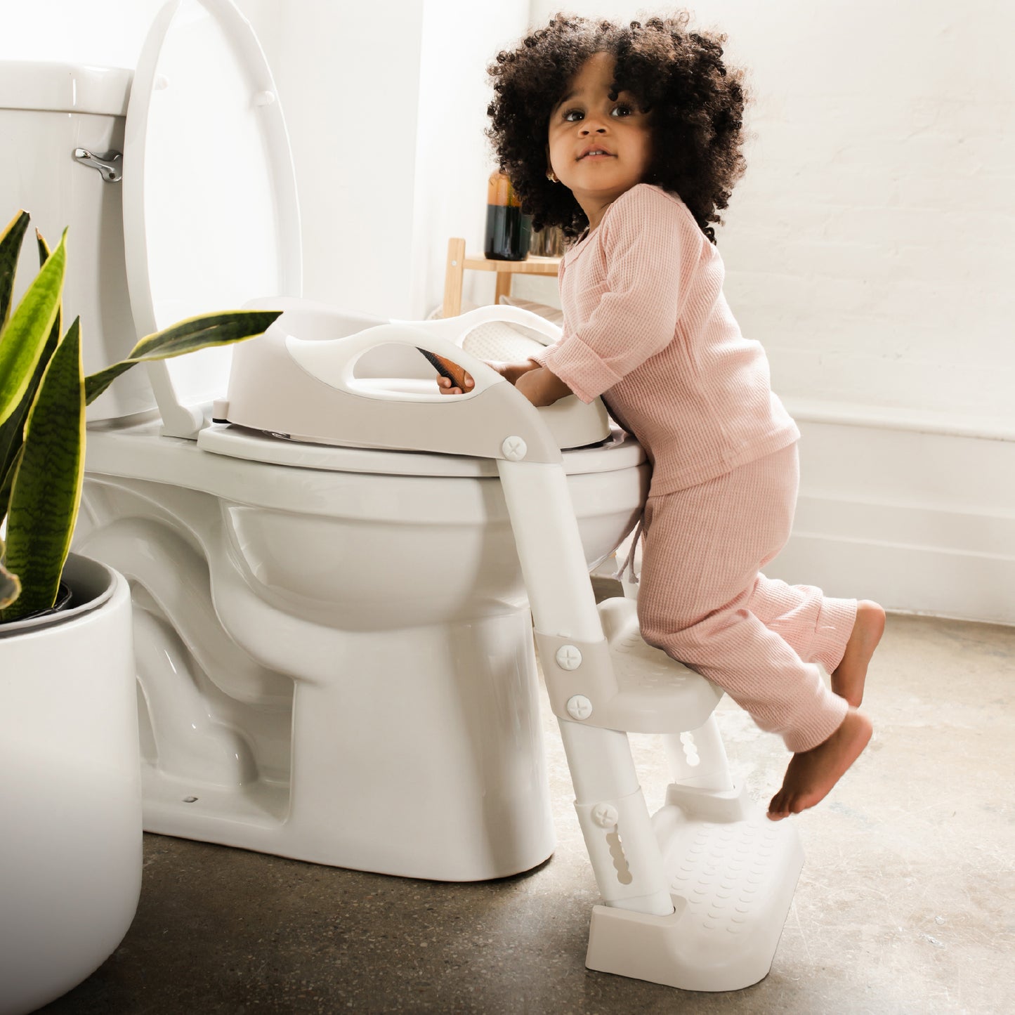 Potty Training Seat with 2 Step Ladder