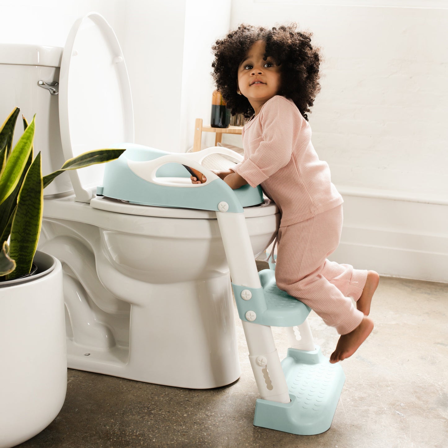 Potty Training Seat with 2 Step Ladder