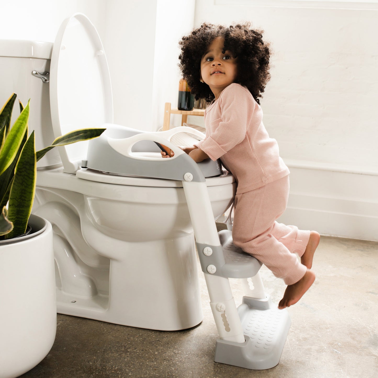 Potty Training Seat with 2 Step Ladder