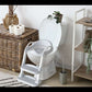 Potty Training Seat with 2 Step Ladder